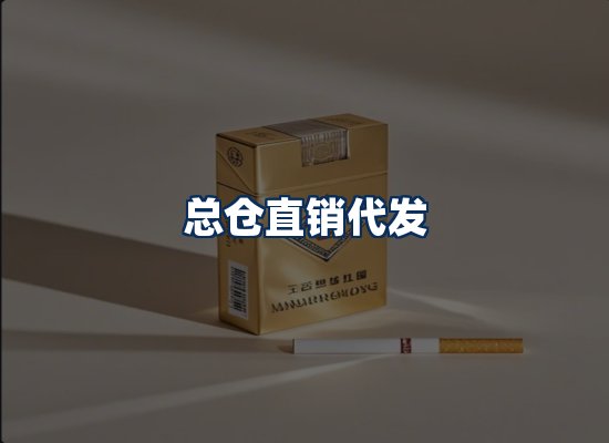 专业团队办公环境